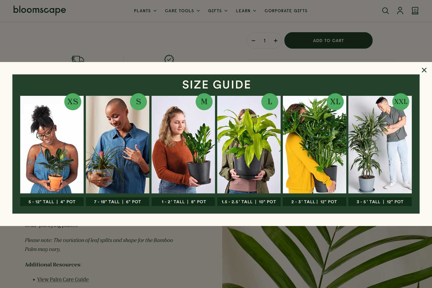eCommerce Size Guide Example