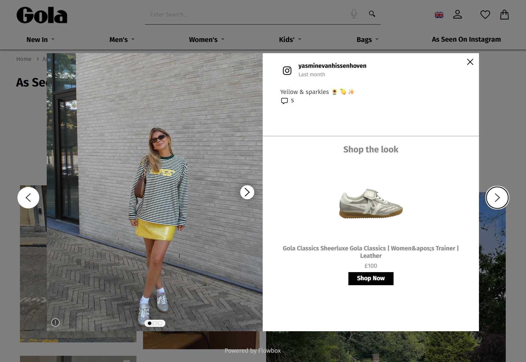 Gola eCommerce Store Features Example
