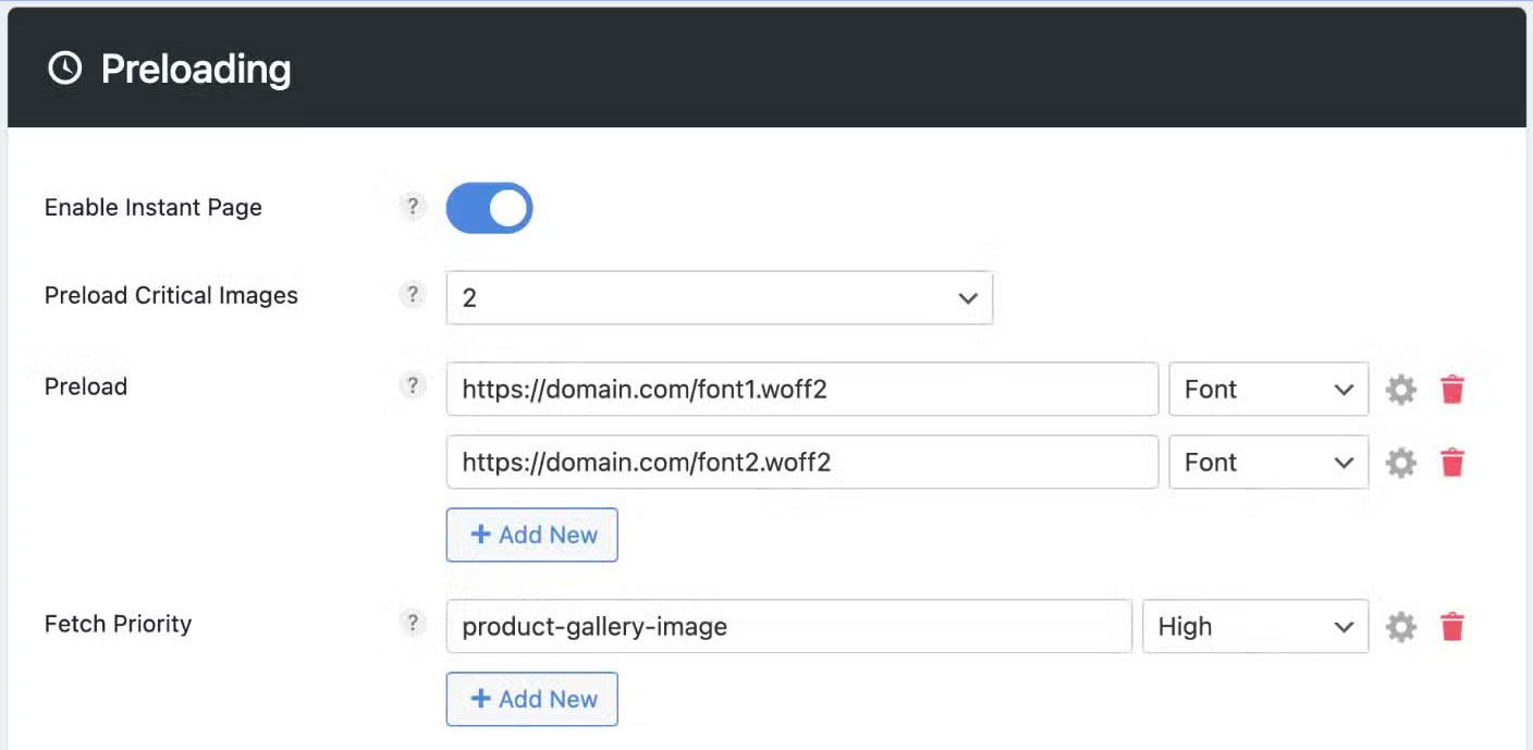 Use the PerfMatters Plugin to Improve LCP